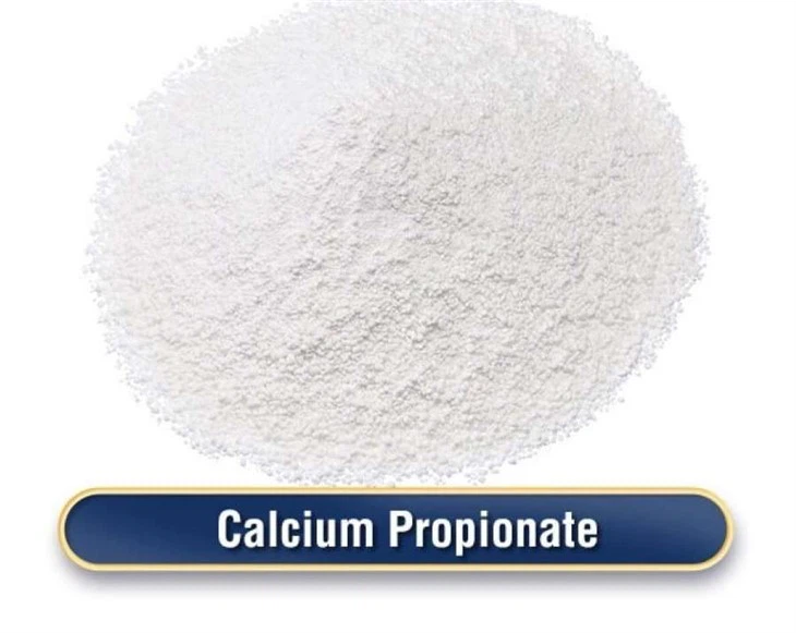 Calcium Propionate Buy Online high quality
